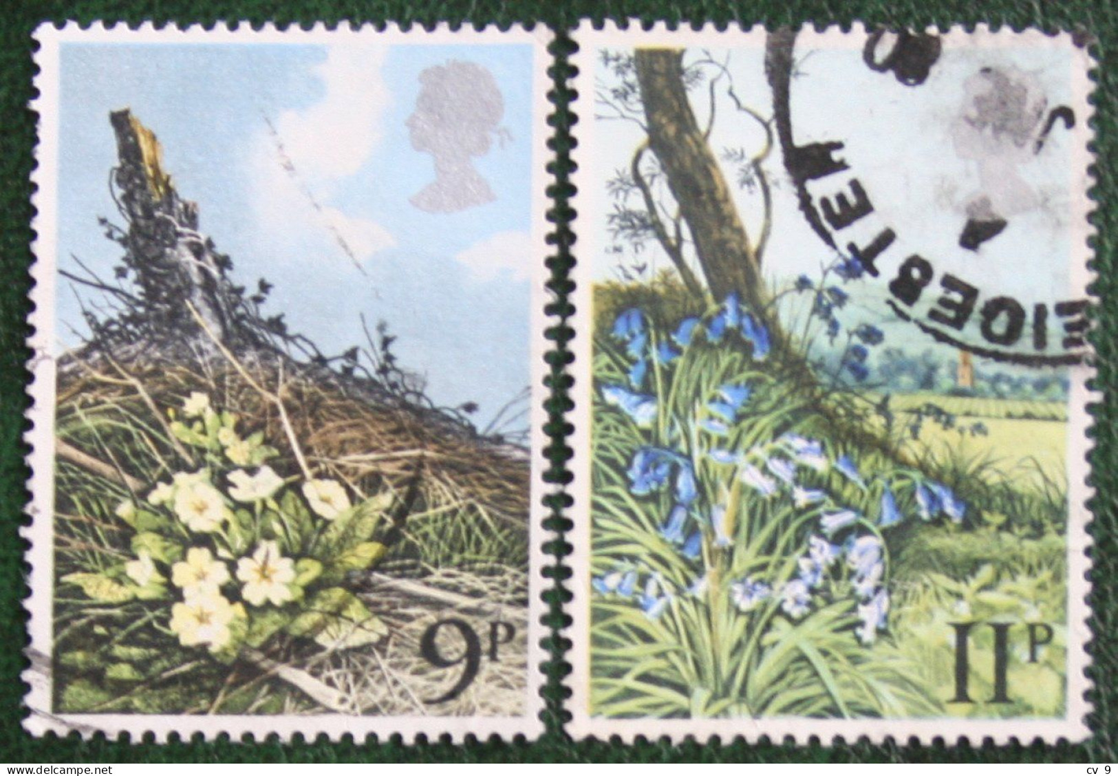 Wild Flowers Fleur Blumen (Mi 785-786) 1979 Used Gebruikt Oblitere ENGLAND GRANDE-BRETAGNE GB GREAT BRITAIN - Usados