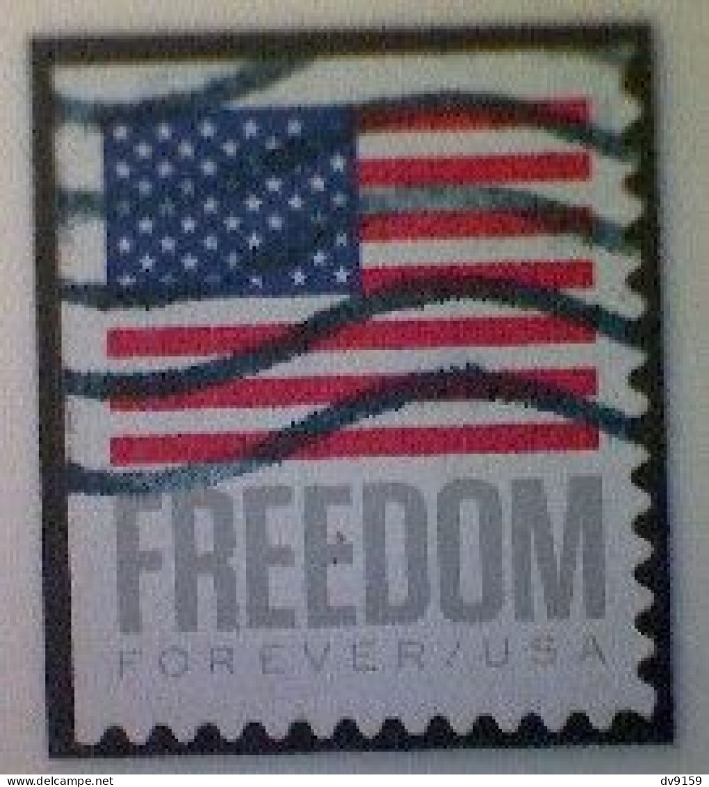 United States, Scott #5790, Used(o) Booklet, 2023, Flag Definitive: Freedom Flag, (63¢) Forever - Usados