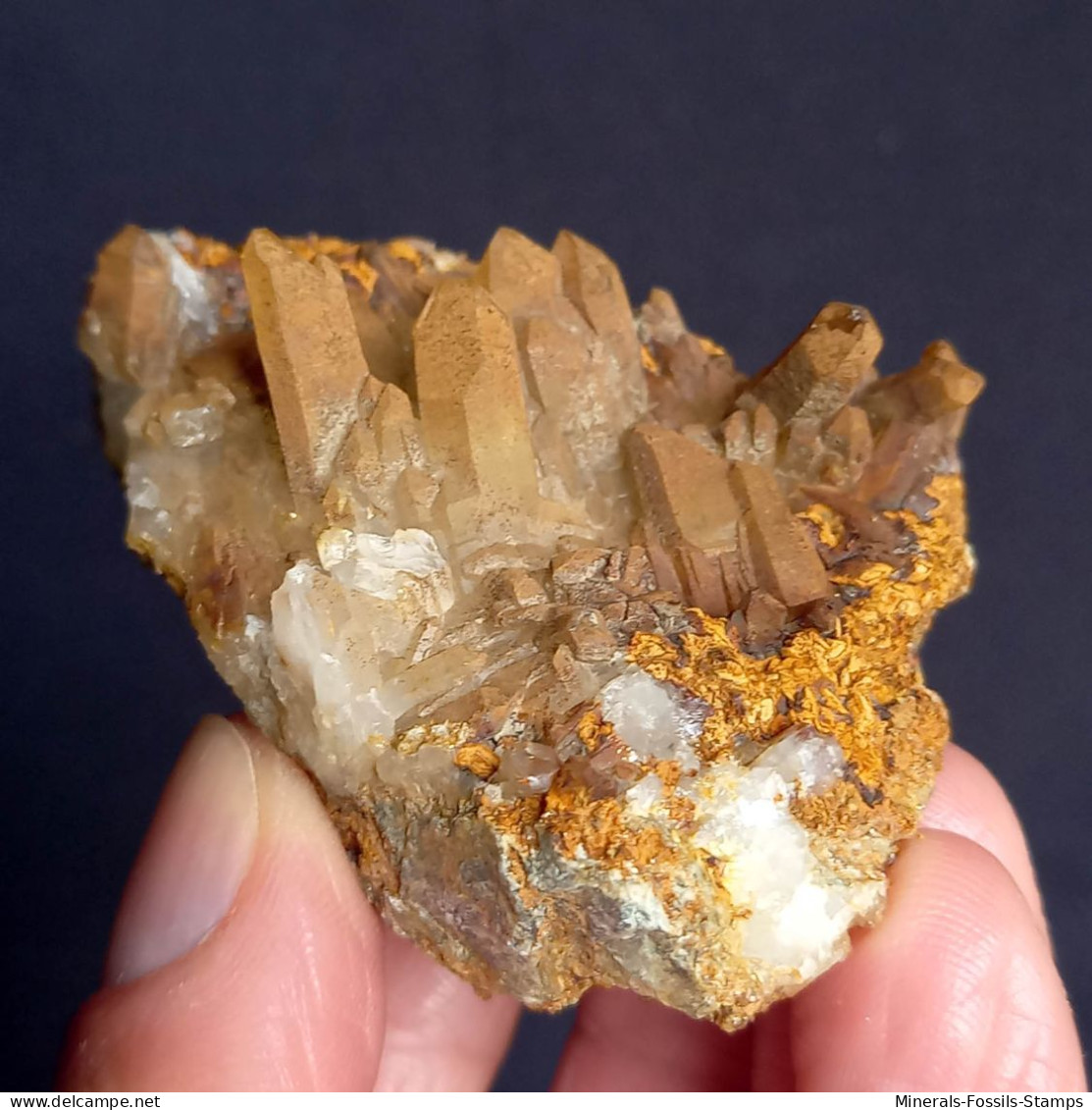#U12 - Schöne Gruppe Von QUARZ Kristallen Mit Eisenoxiden (Val Bedretto, Schweiz) - Minerals