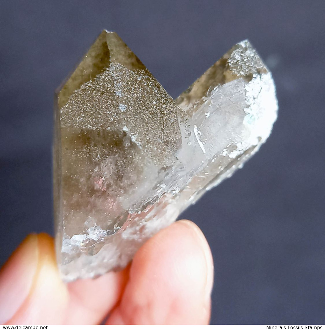 #U18 - Beau Cristal QUARTZ (Glacier Géant, Aoste, Italie) - Mineralien