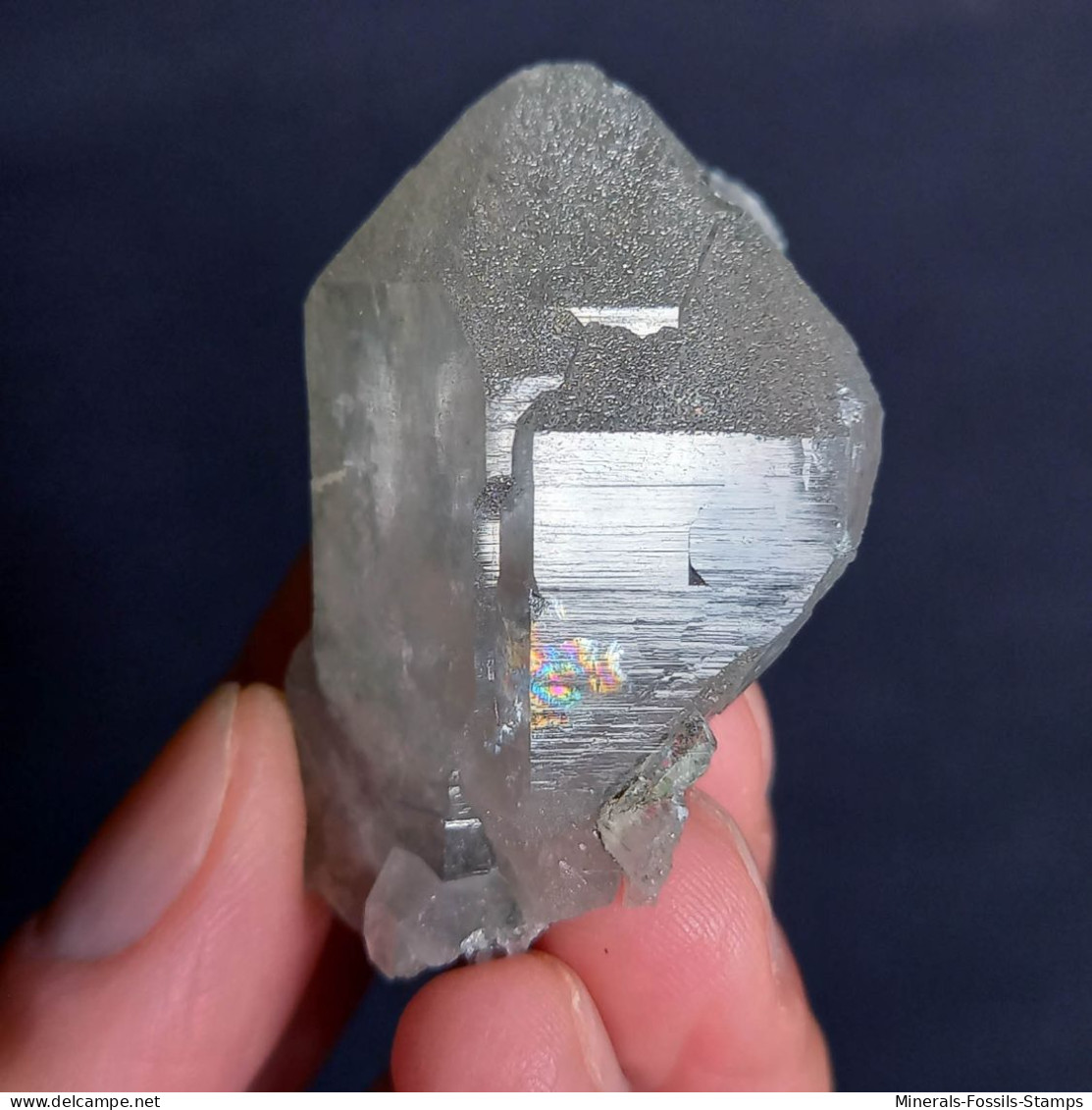 #U19 - Bel Cristallo Di QUARZO (Ghiacciaio Del Gigante, Aosta, Italia) - Mineralien
