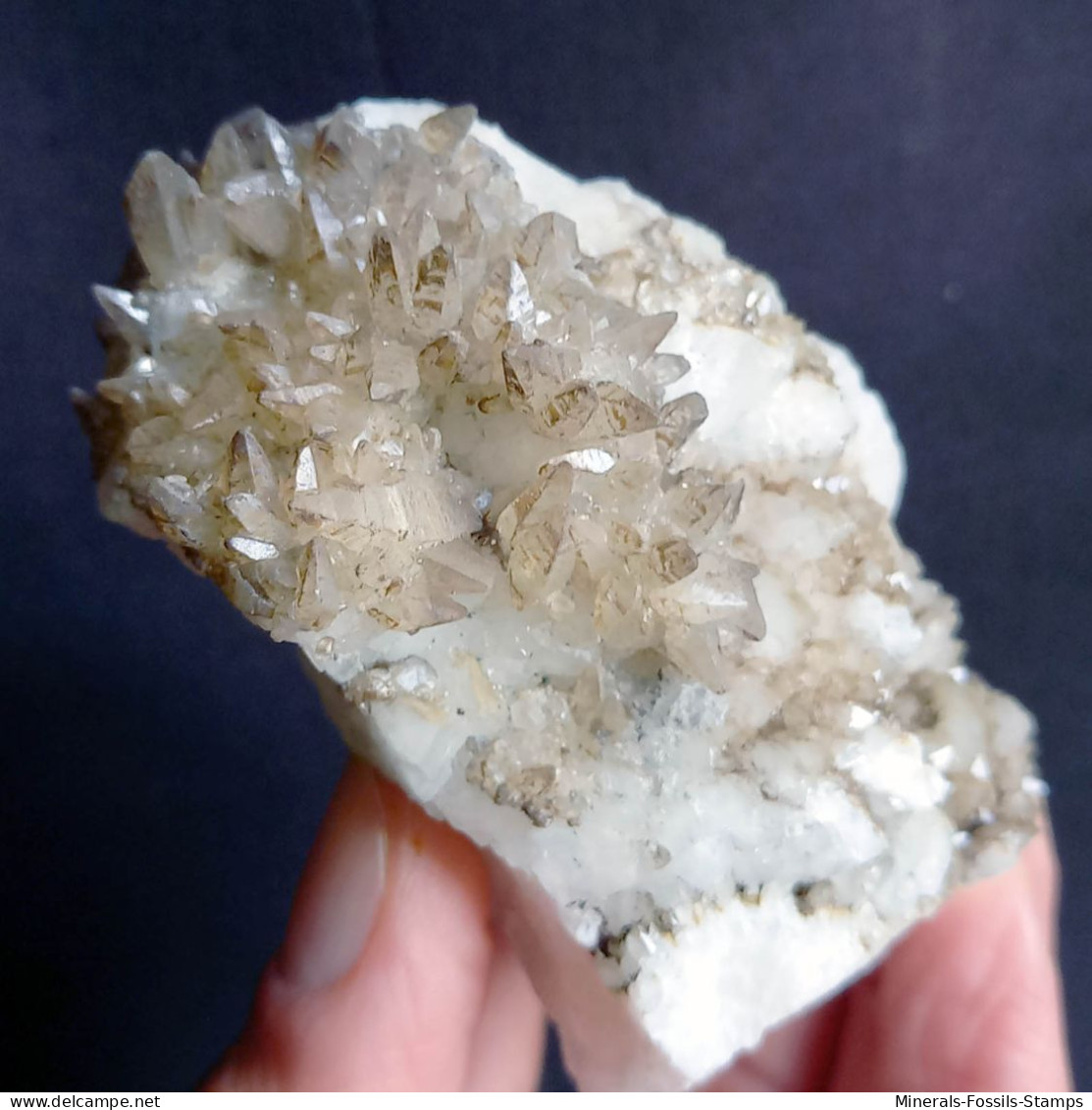#V46 - Curioso Gruppo CALCITE Cristalli (Val Bedretto, Svizzera) - Mineralien