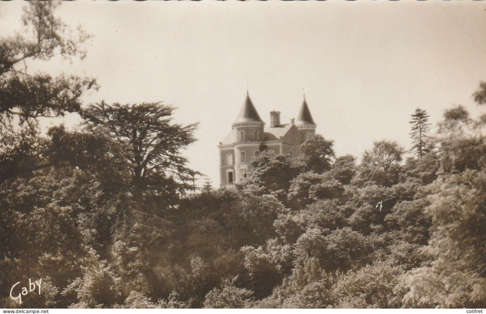 49 - Montfaucon-sur-Moine  -  Le Château Latour - Montfaucon