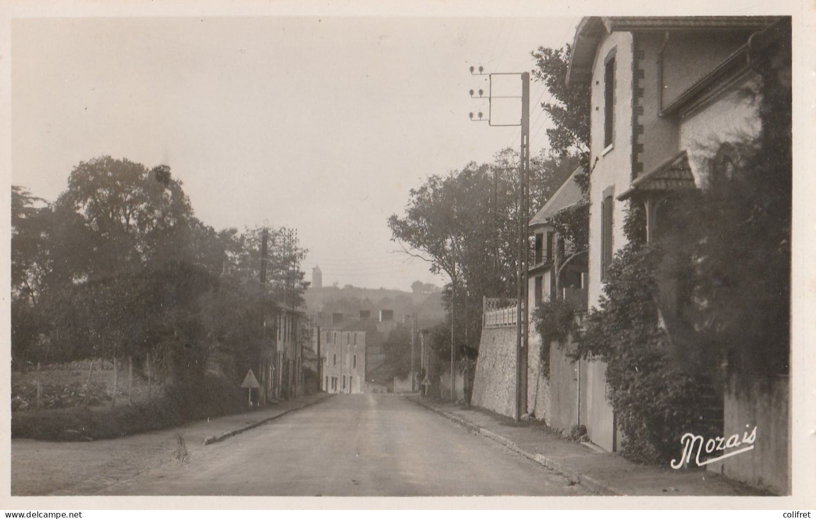 49 - Montfaucon-sur-Moine  -  Rue De La Poste - Montfaucon