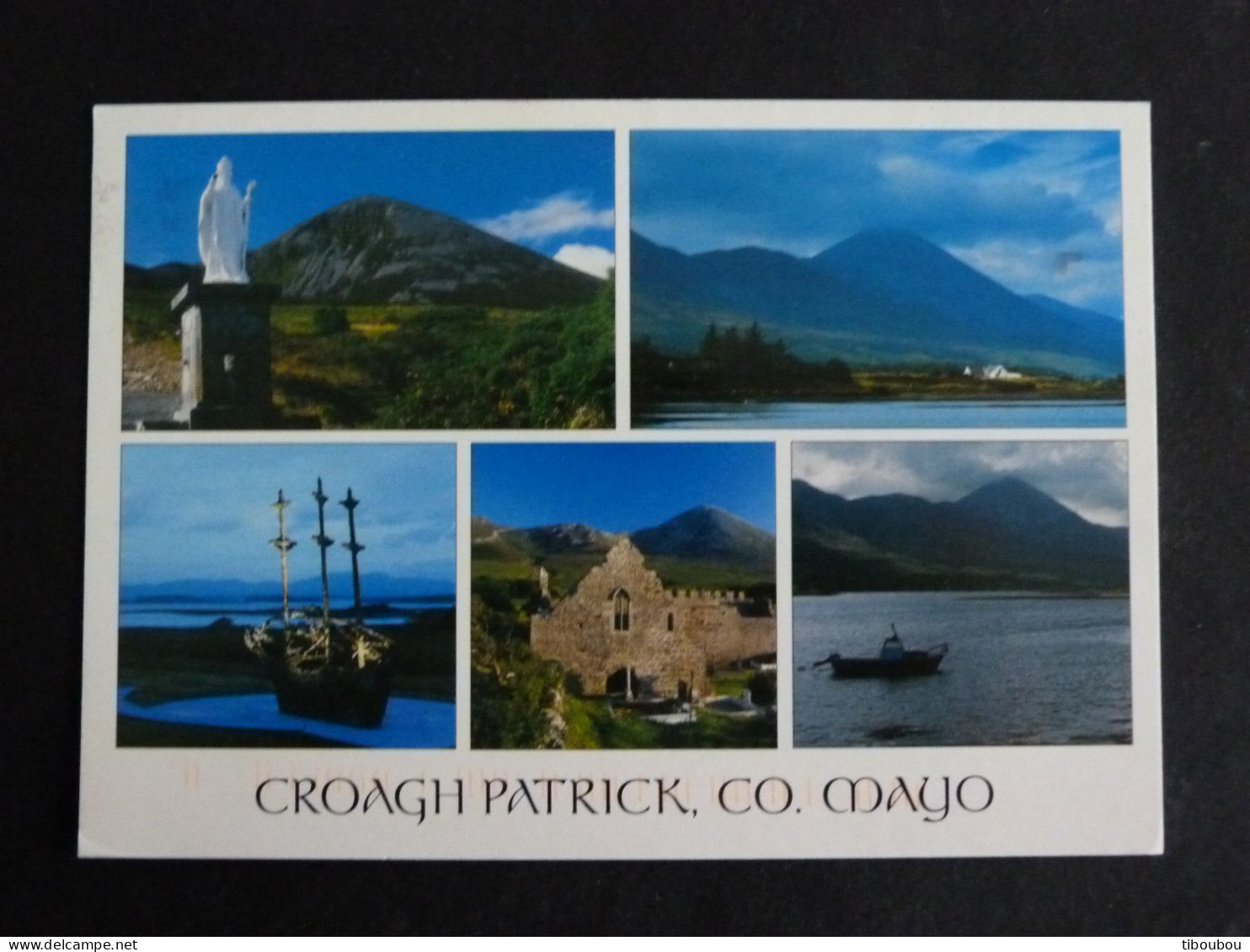 IRLANDE IRELAND EIRE AVEC YT 1819 ASTER MARITIME FLORE FLEUR FLOWER BLUME - CROAGH PATRICK CO. MAYO - Covers & Documents