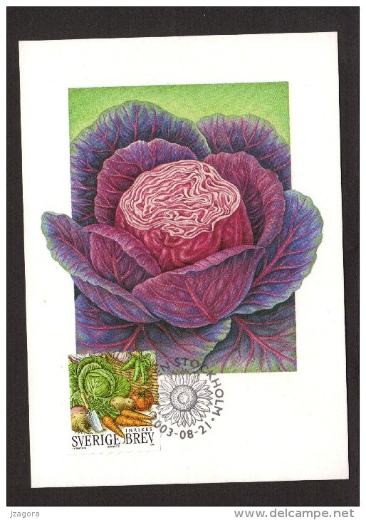 VEGETABLES VEGETABLES GEMÜSE DES LÉGUMES CABBAGE CHOU KOHL SWEDEN SUEDE SCHWEDEN 2003 STAMP ON FDC MAXIMUM CARD CARTE - Gemüse