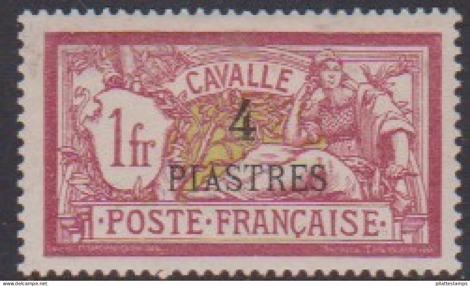 Cavalle 15* - Other & Unclassified