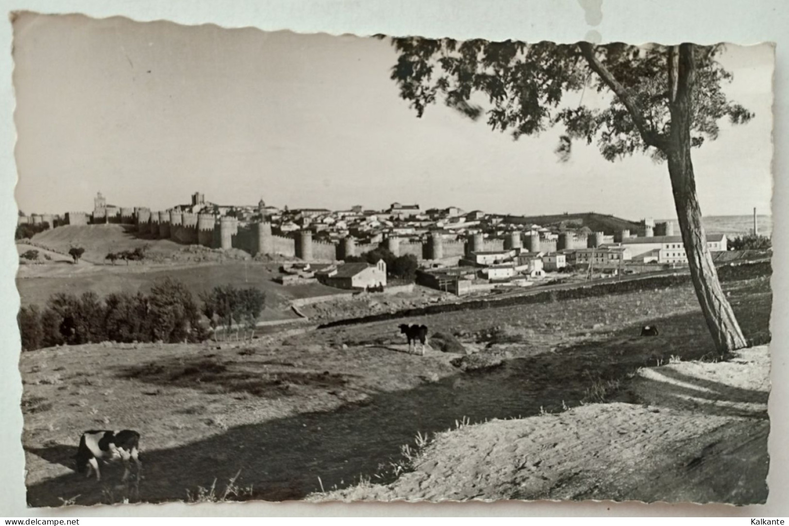 [CASTILLA Y LEON] - AVILA - Vista General - Ávila