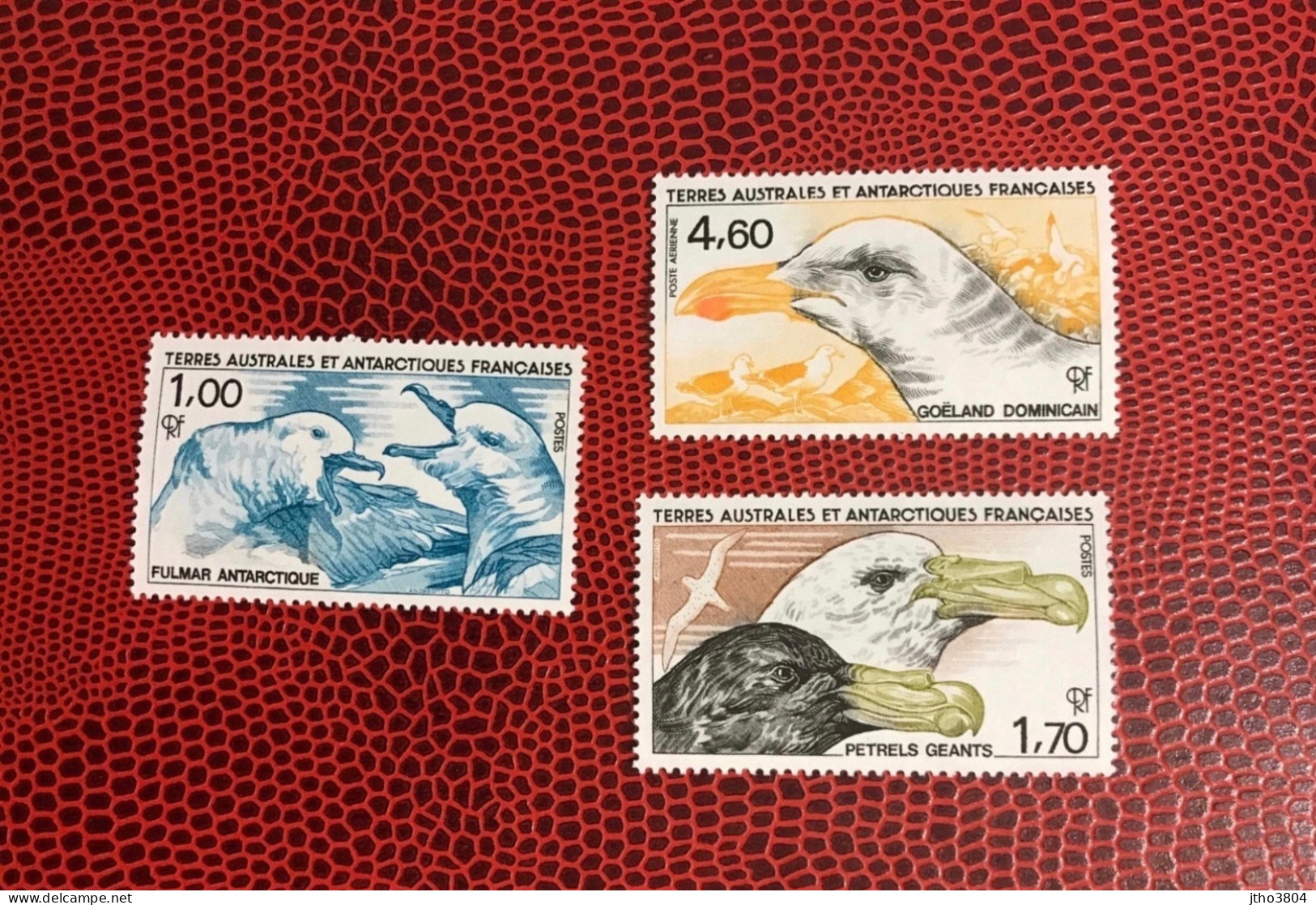 TAAF Antarctique Française 1986 3v Neuf MNH ** YT 208 / 210 Pájaro Bird Pássaro Vogel Ucello French Antarctic Territory - Mouettes