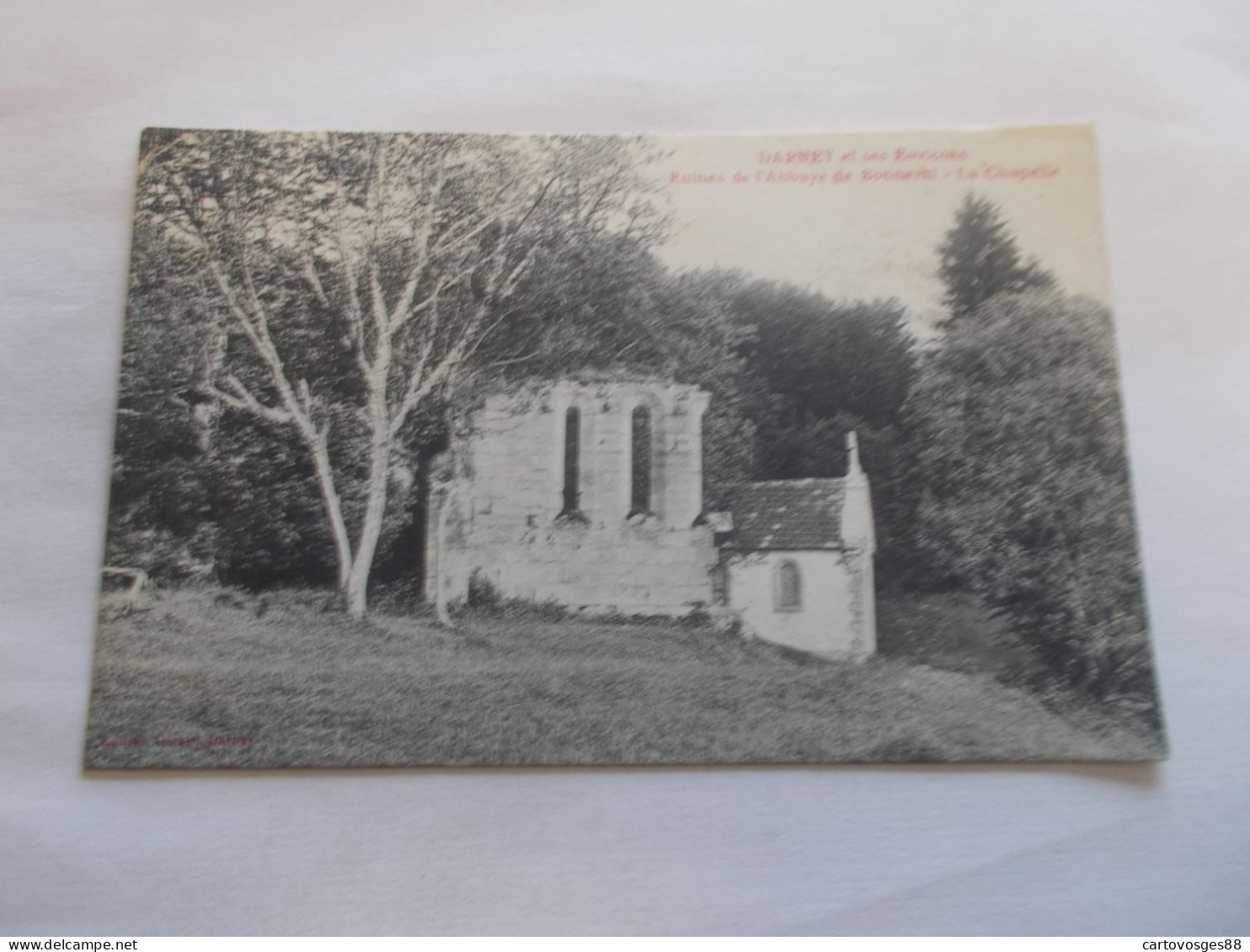 DARNEY ET SES ENVIRONS   ( 88 Vosges )  RUINES DE  L ABBAYE DE BONNEVAL  LA CHAPELLE - Darney