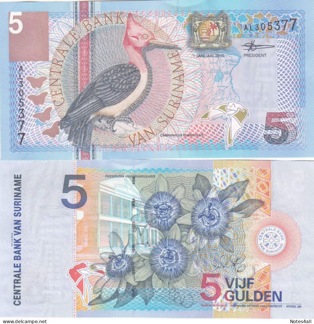 Suriname 5 GULDEN 1999 2000 P146 Unc - Surinam