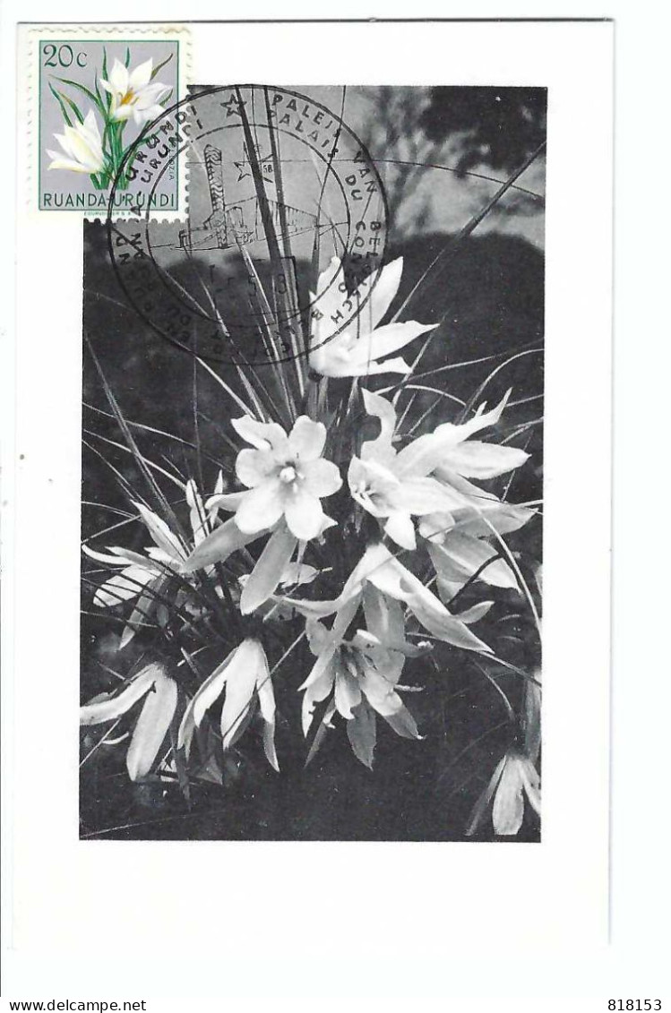 RUANDA-URUNDI     Velloziaceae  Vellozia Aequatorialis    FDC  5/5/1958 - Usati