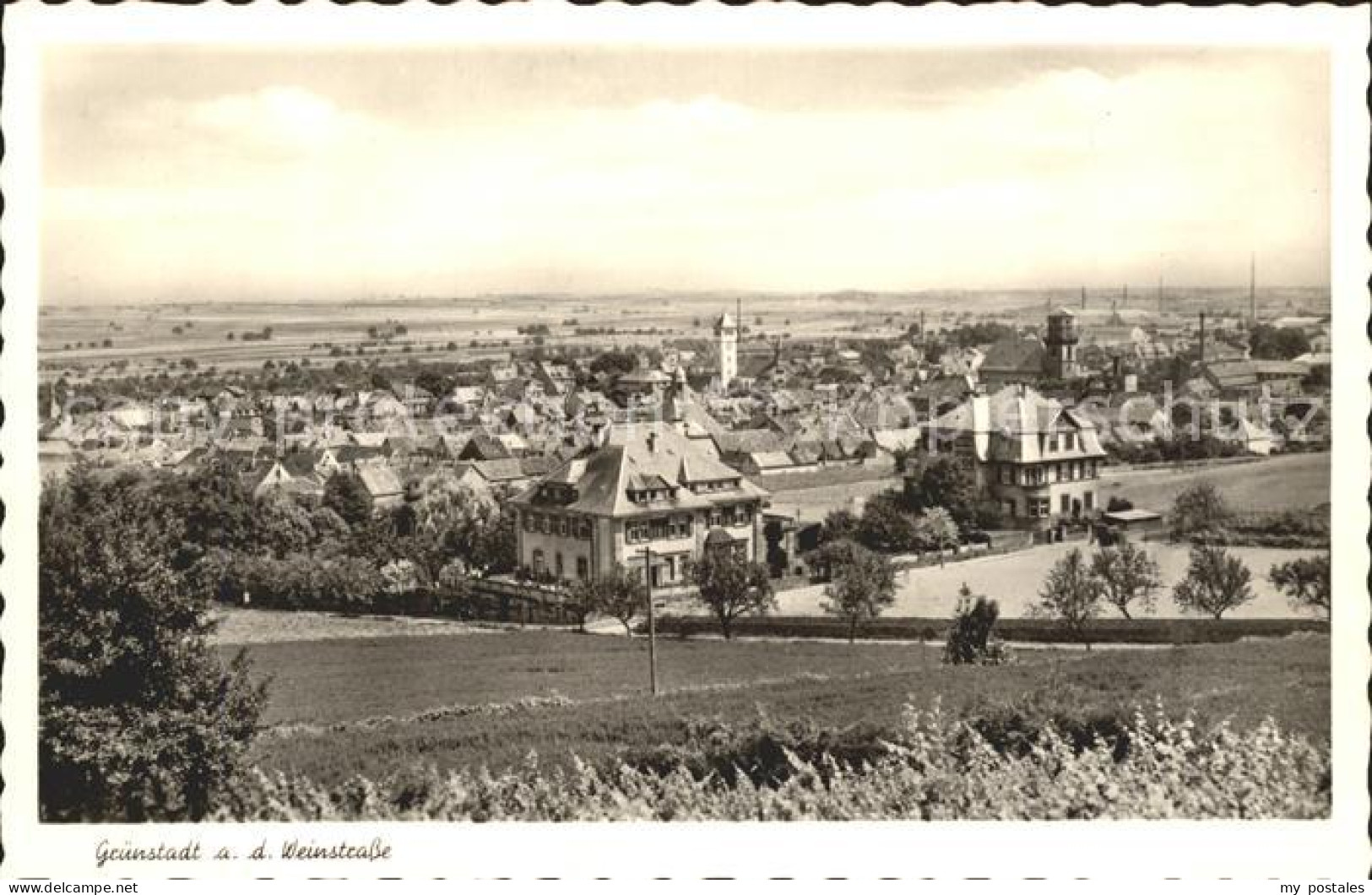 41791494 Gruenstadt Panorama Gruenstadt - Grünstadt