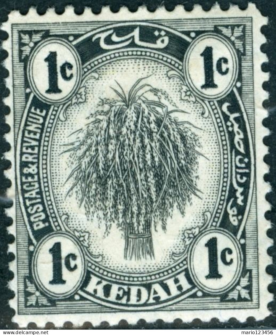 MALAYA, KEDAH, AGRICOLTURA, FLORA, 1922, FRANCOBOLLI NUOVI (MLH*) Mi:MY-KE 36, Scott:MY-KE 24, Yt:MY-KE 24 - Kedah