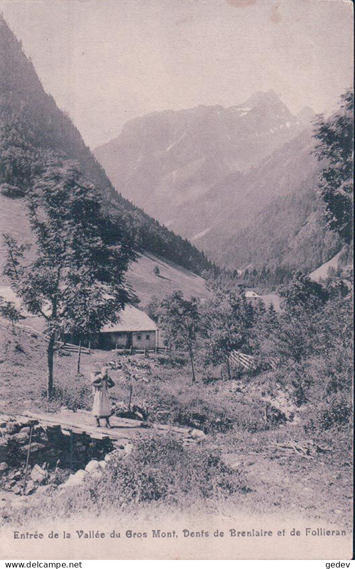 Charmey FR, Vallée Du Gros Mont Et Ferme (morel 201) - Charmey