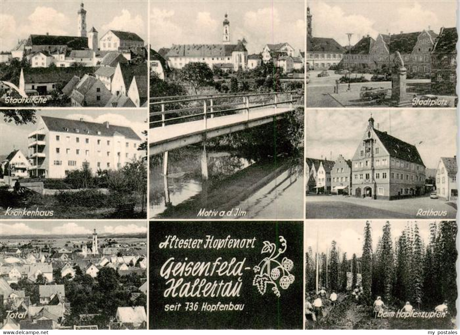 73875064 Hallertau Geisenfeld Panorama Aeltester Hopfenort Stadtkirche Krankenha - Geisenfeld