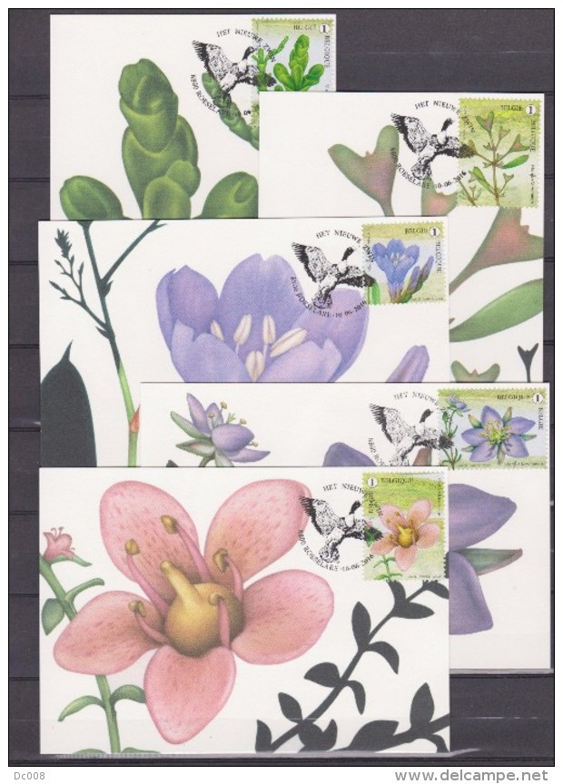 MAX Buzin-Meersman Vogels En Bloemen 10 Kaarten Volledig-Oiseaux Et Fleurs 10 Cartes Complete 2016-cat4601-10 - 2011-..