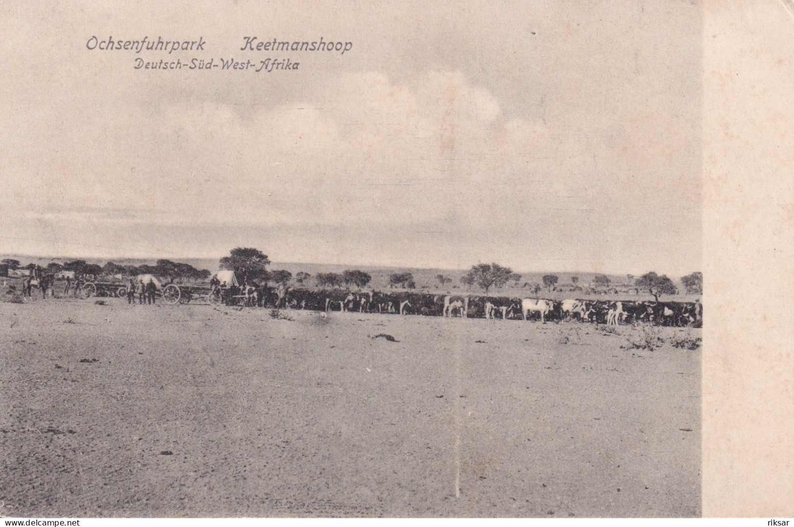 NAMIBIE(MILITAIRE) - Namibië