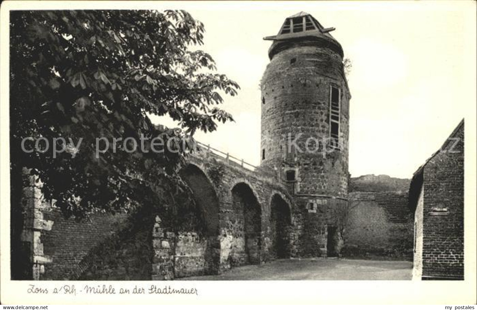 72030894 Zons Muehle Stadtmauer Zons - Dormagen