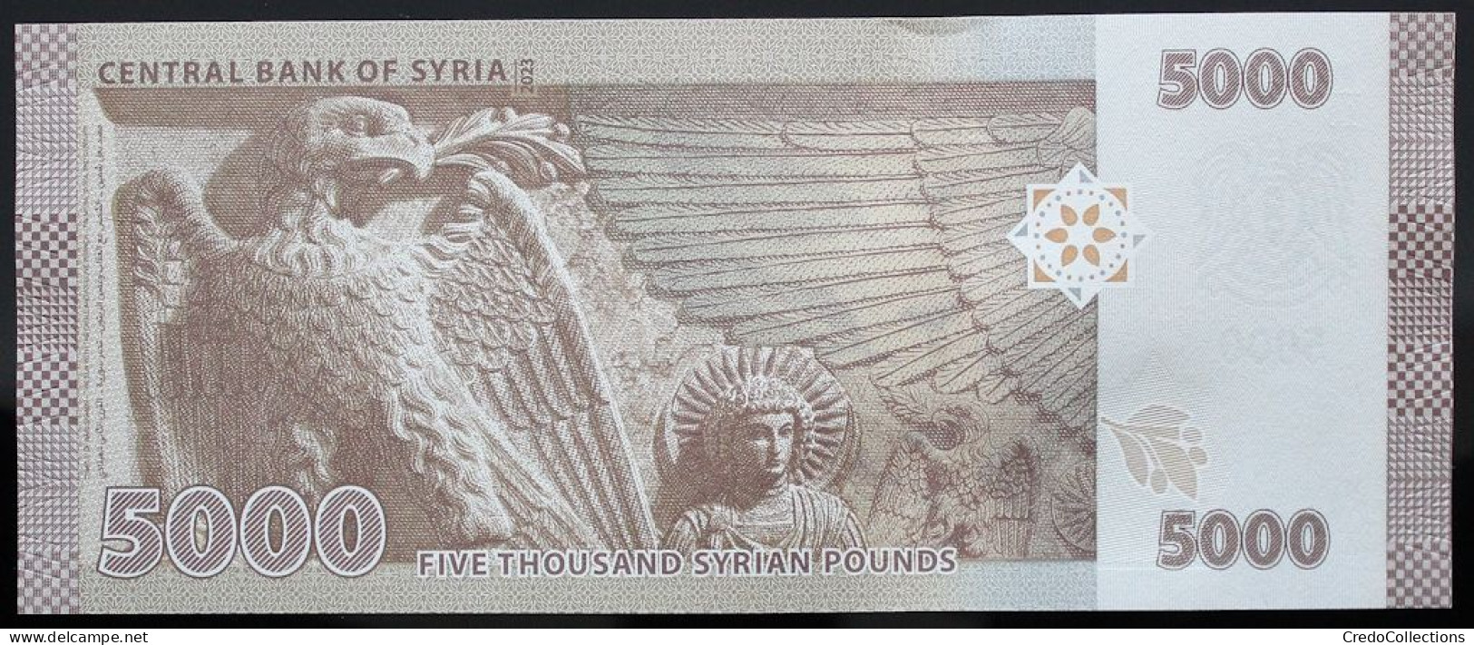 Syrie - 5000 Pounds - 2023 - PICK 118c - NEUF - Syria