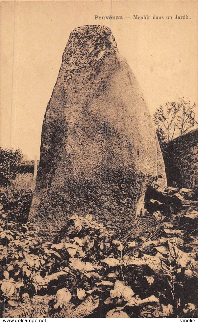 24-2113 : PENVENAN. LE MENHIR - Dolmen & Menhirs