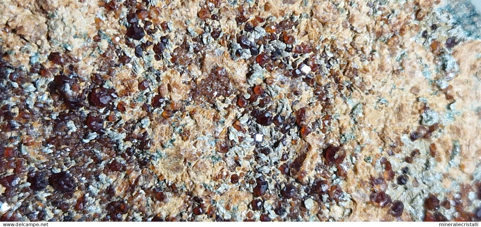 Minerali Piemontesi Granato Essonite Clinocloro - Minerali