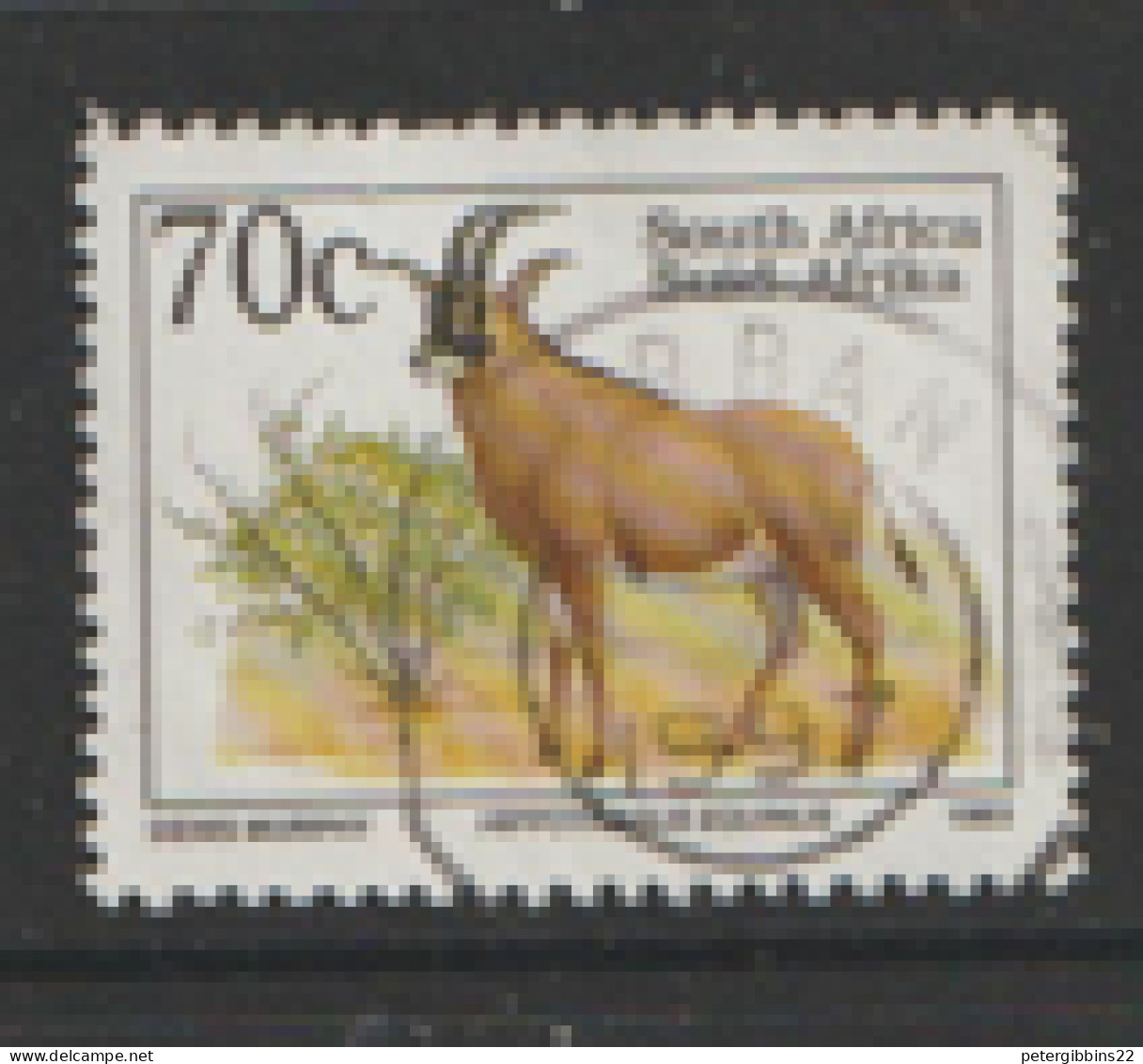 South Africa  1993   SG 813  Roan Antelope Latin Inscription  Fine Used - Oblitérés