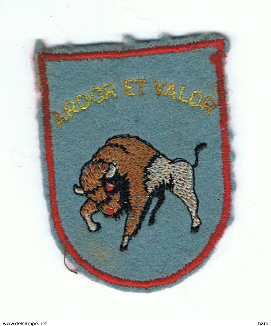 Patch - Ecusson Tissu Brodé - 3e Wing Tactique - Devise " ARDOR ET VALOR "  Aviation - Belgian Air Force ( B321) - Aviation