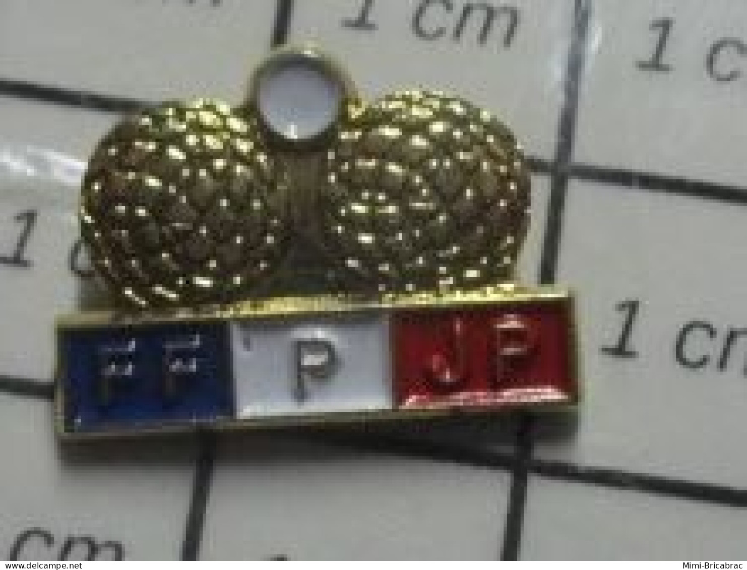 1518A Pin's Pins / Beau Et Rare / SPORTS / PETANQUE FFPJP BOULES ET COCHONET - Petanca