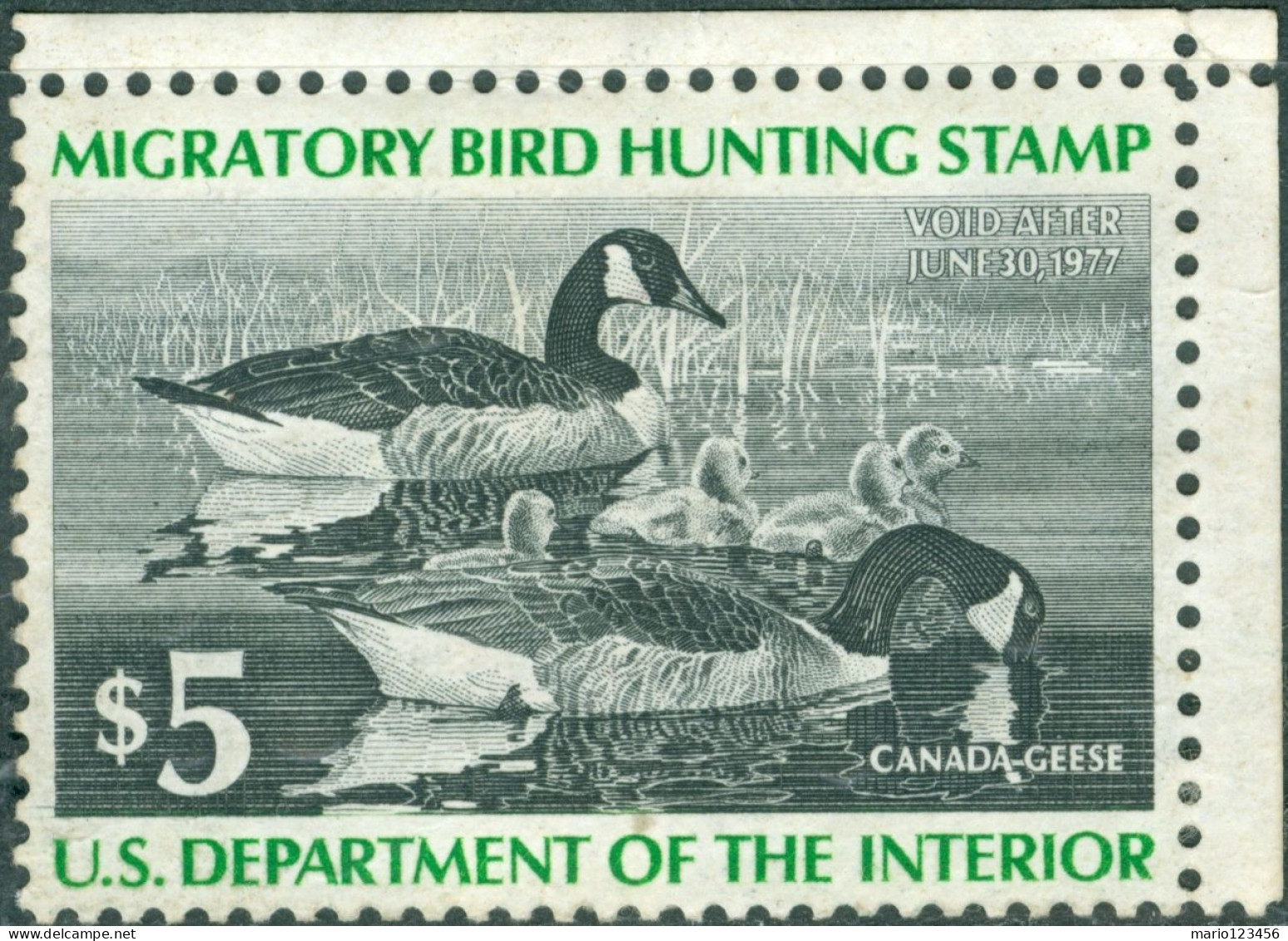 STATI UNITI D’AMERICA, UNITES STATES, TASSE, FAUNA, UCCELLI, BIRDS, 1976, (MLH*) Scott:US RW43 - Used Stamps