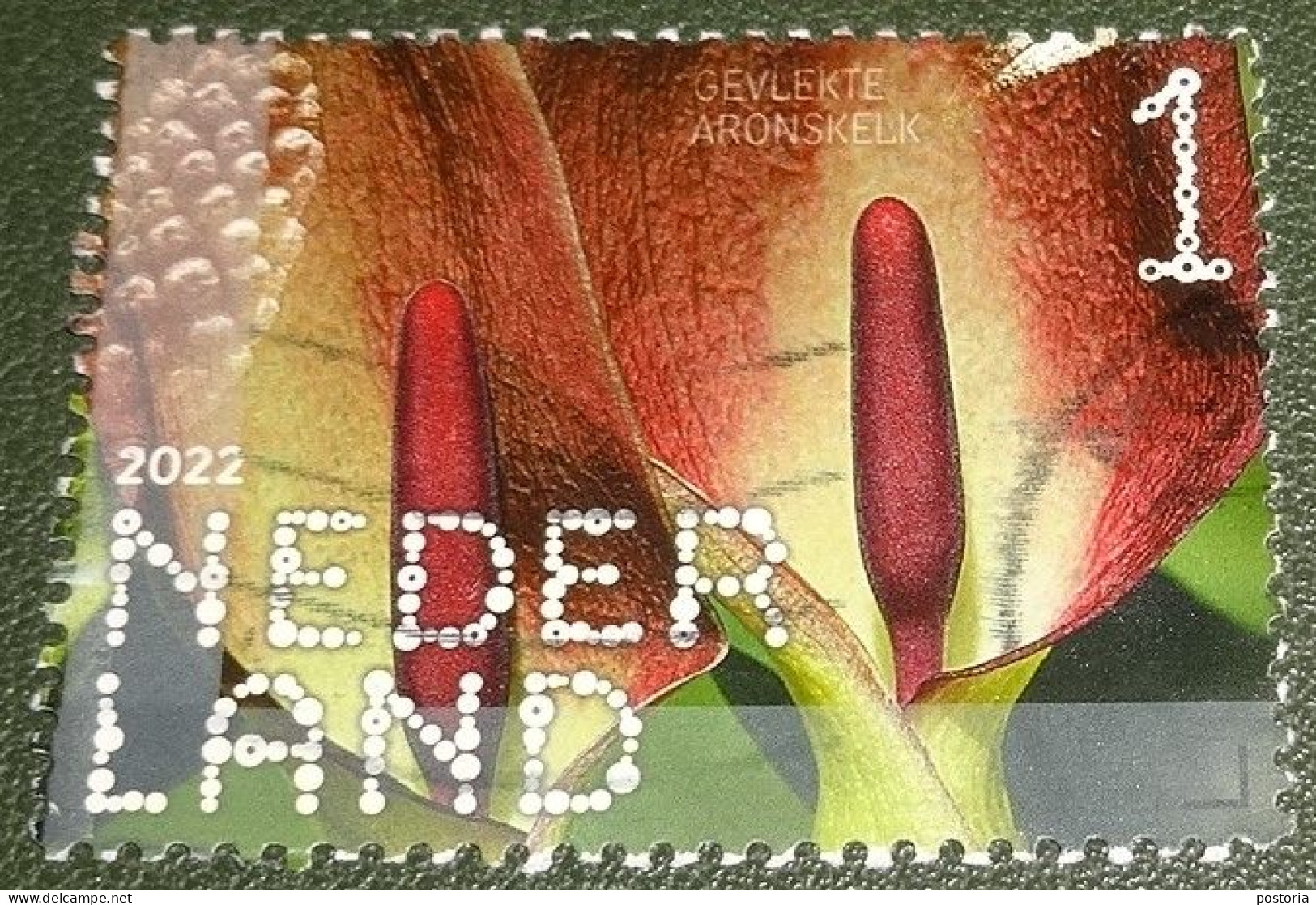 Nederland - NVPH - 4037 - 2022 - Gebruikt - Used - Beleef De Natuur - Gevlekte Aronskelk - Used Stamps