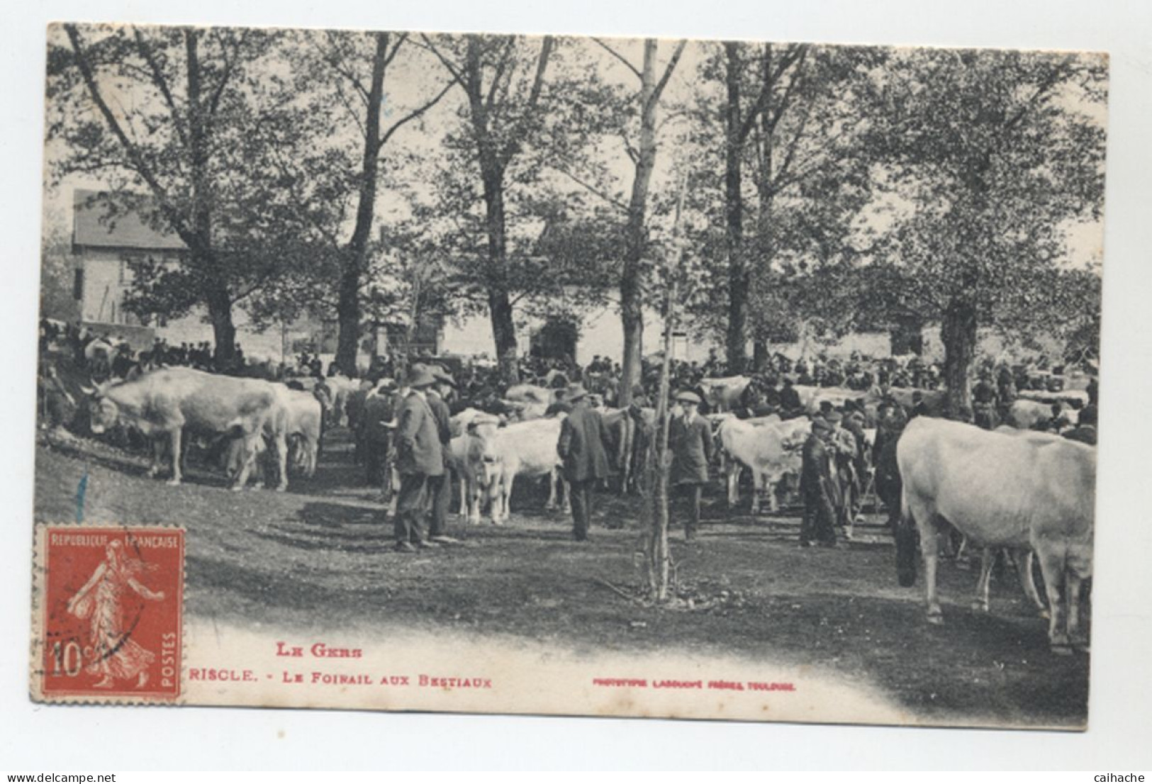 32 - RISCLE - Le Foirail Aux Bestiaux - Beau Plan De La Foire - - Riscle