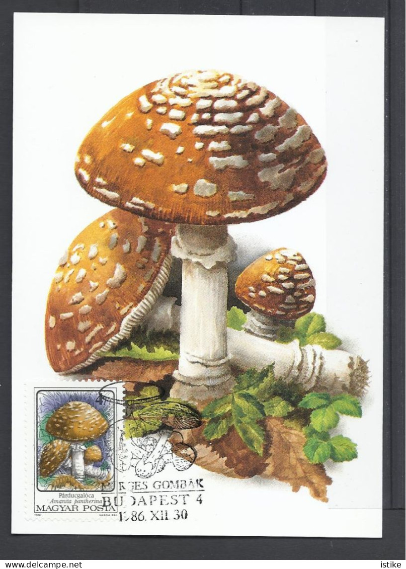 Hungary, Maximum Card, Toxic Mushrooms(Toadstools),  Amanita Pantherina,1986. - Tarjetas – Máximo