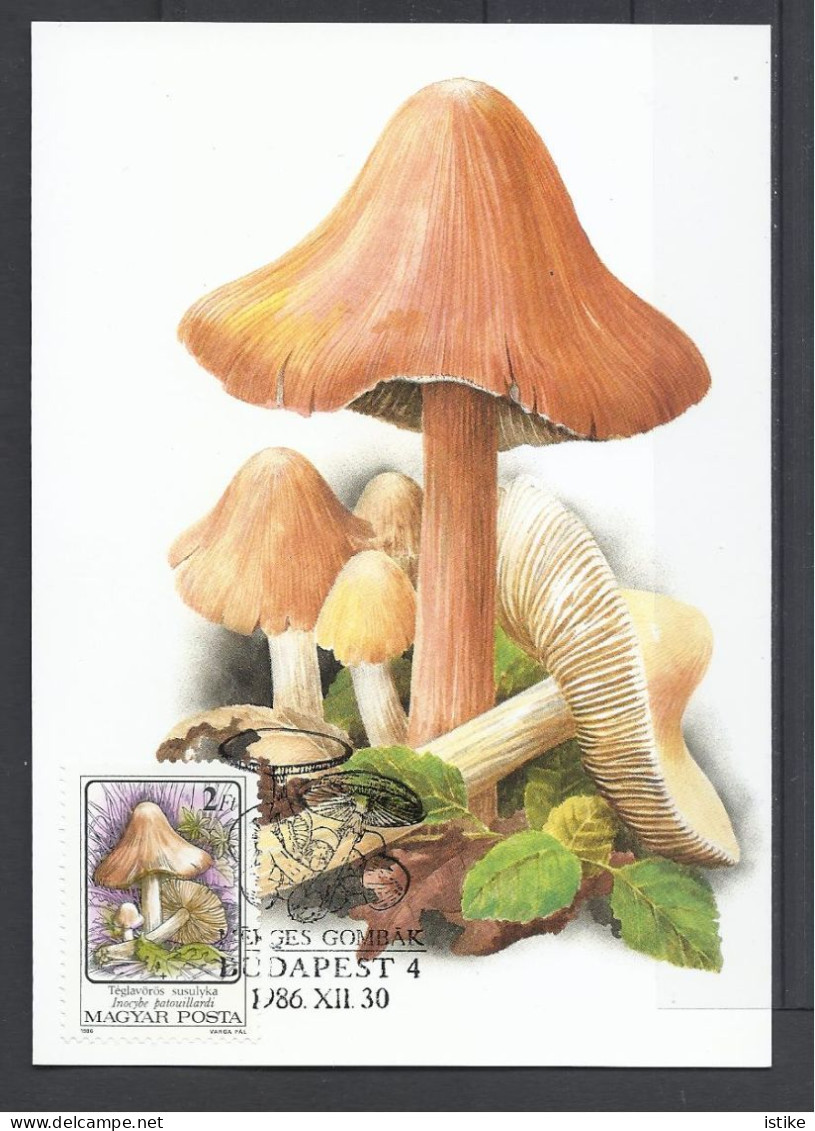 Hungary, Maximum Card, Toxic Mushrooms(Toadstools), Inocybe Patouillardi,1986. - Tarjetas – Máximo