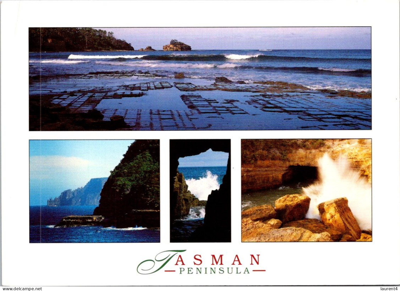 12-2-2024 (3   X 51 Australia - TAS - Tasman Peninsula (with Flower Stamp) - Wilderness