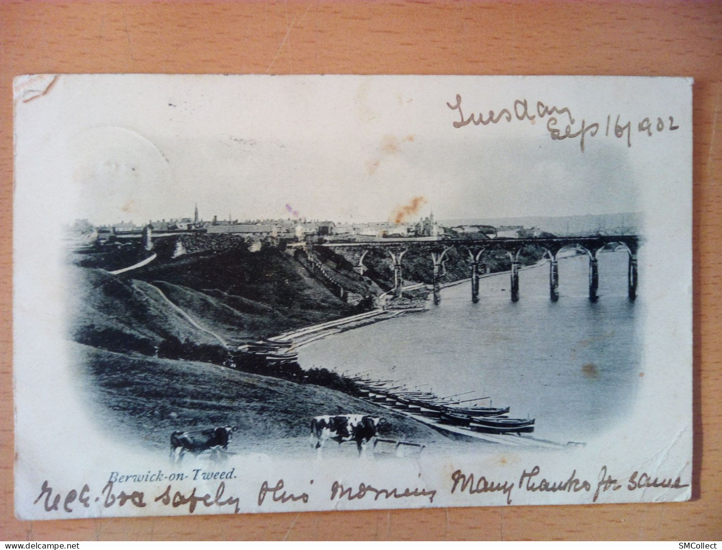 Berwick On Tweed, 1902 (A20p62) - Autres & Non Classés