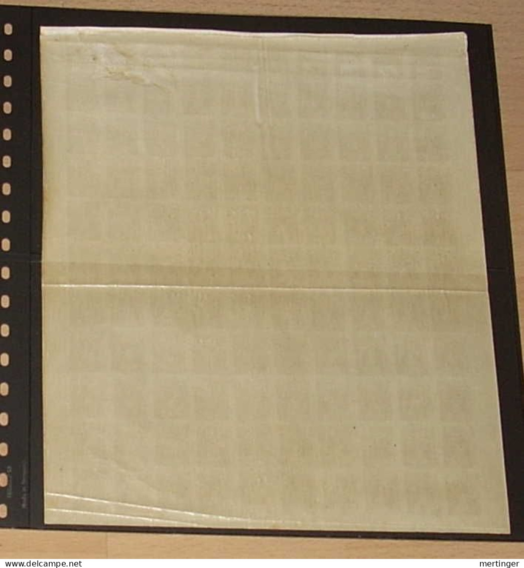 Poland Polen Mi# 69 ** MNH Complete Sheet Of 100 20h 1919 With Plate Error Fischer #77t - Ungebraucht