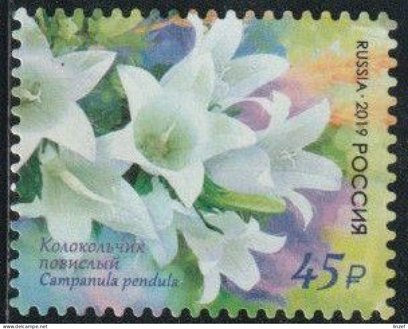 Russie 2019 Yv. N°8050 - Campanule à Fleurs Pendantes - Oblitéré - Usados