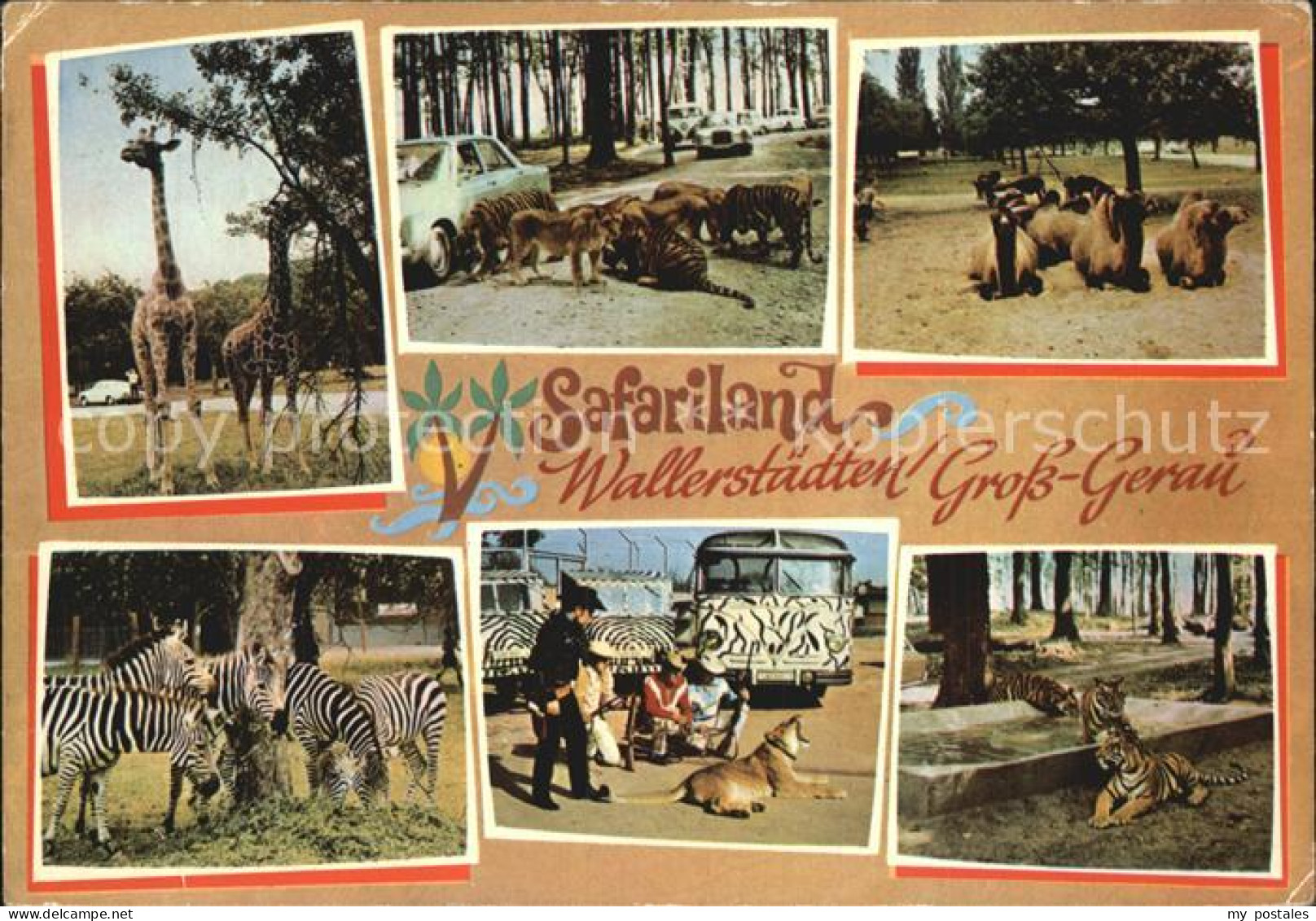 72486088 Gross-Gerau Safariland Wallerst?dten Gross-Gerau - Gross-Gerau