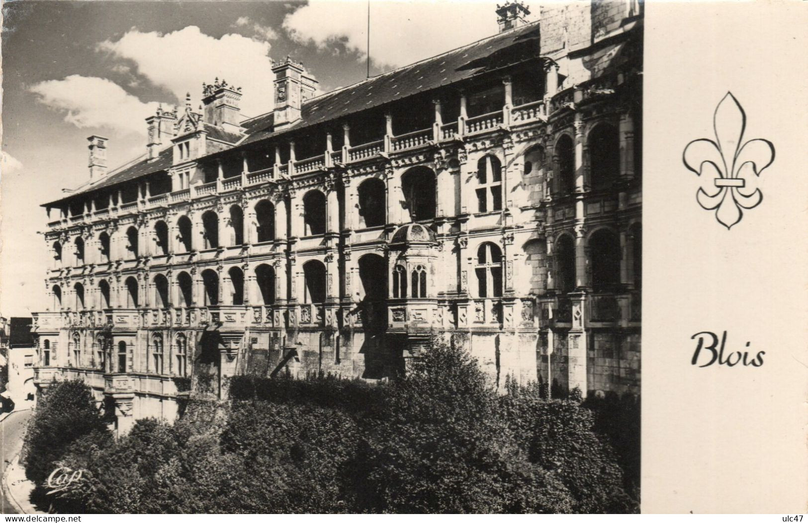 Châteaux De La Loire - BLOIS. CHAUMONT-sur-LOIRE. CHAMBORD. CHENONCEAUX. - 4 Cartes Photo - - Pays De La Loire