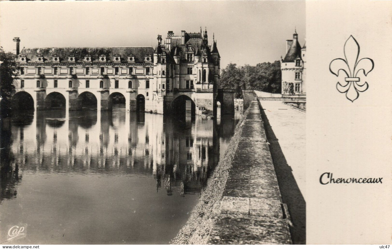 Châteaux De La Loire - BLOIS. CHAUMONT-sur-LOIRE. CHAMBORD. CHENONCEAUX. - 4 Cartes Photo - - Pays De La Loire