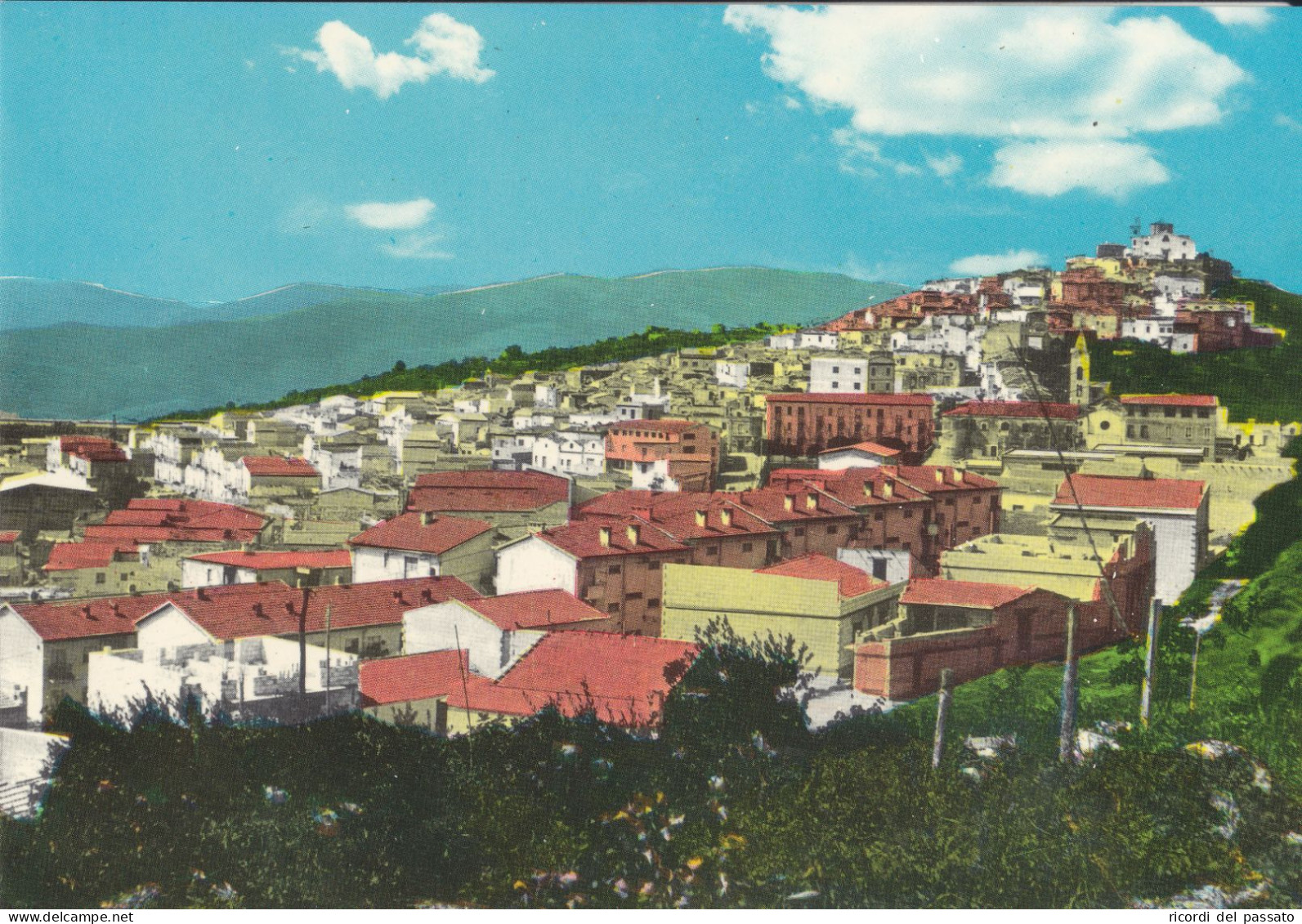 Cartolina Grassano ( Matera ) - Panorama Visto Da Levante - Matera