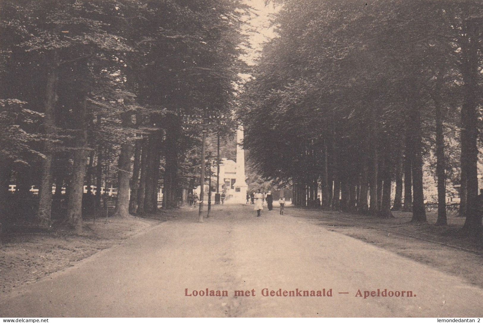 Apeldoorn - Loolaan Met Gedenknaald - Apeldoorn