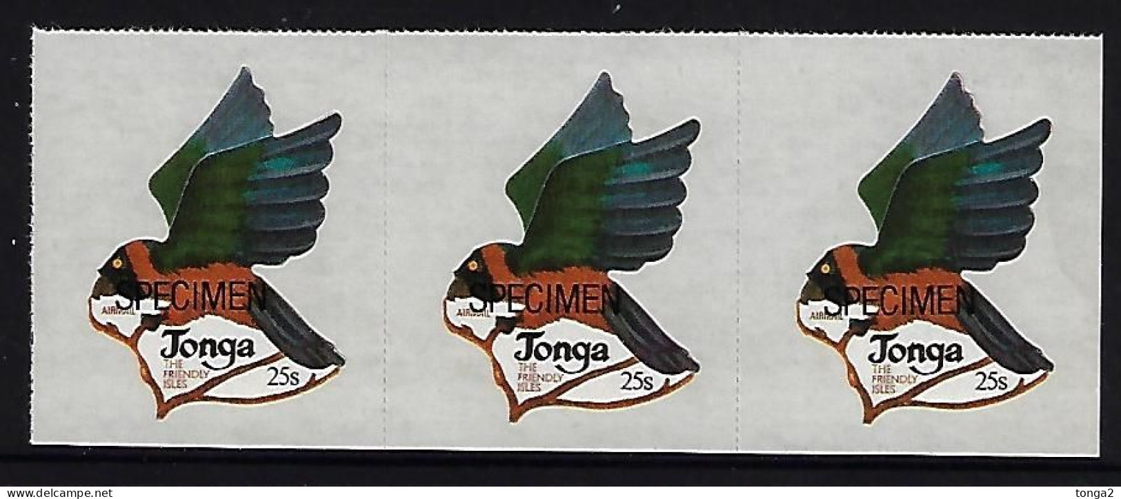 Tonga Specimen Strip - Parrot - Bird - Parrots