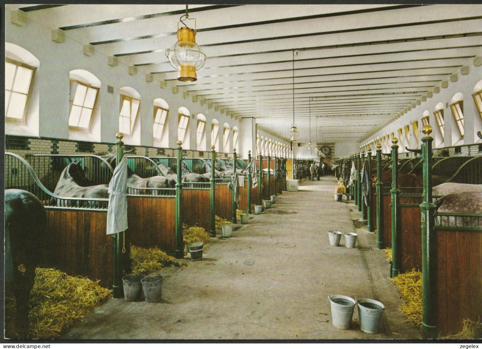 Apeldoorn Paleis Het Loo - Koninklijke Stallen 1906-1910 - Horses, Paarden - Apeldoorn