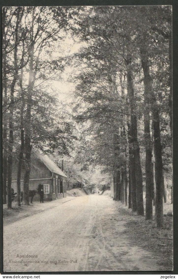 Apeldoorn 1909 - Amersfoortsche Weg Met Echo-Put - Paard En Wagen - Apeldoorn