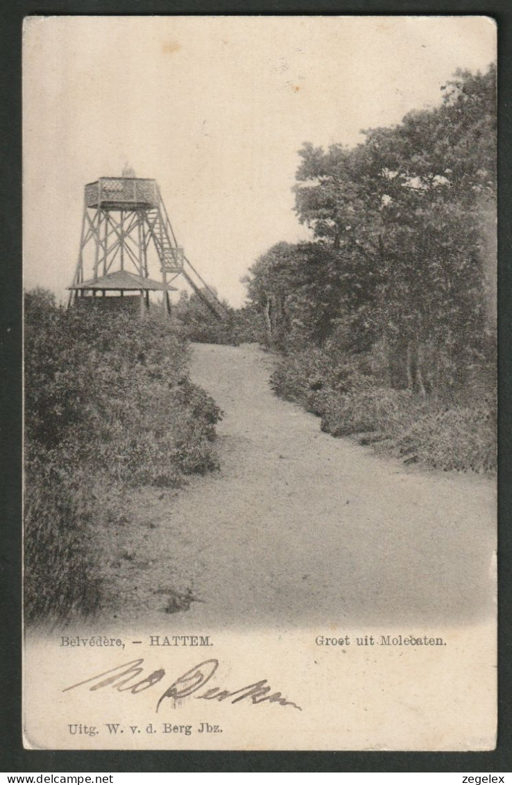 Hattem 1904 - Belvédère - Groet Uit Molecaten Uitkijktoren - Hattem