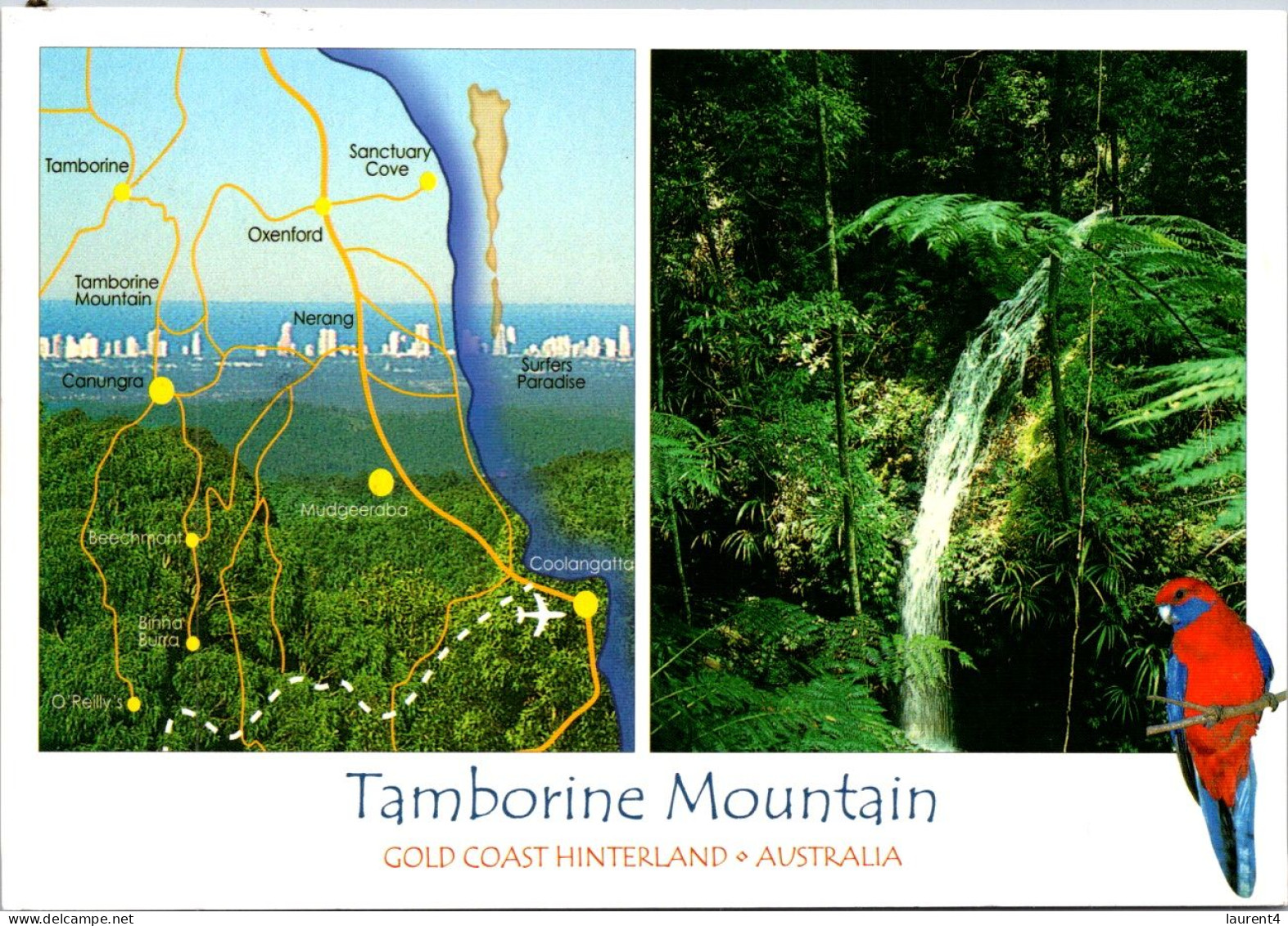 14-2-2024 (4 X 11) Australia - QLD - Tamborine Mountain (with Map & Waterfall) Posted With Fish Stamp In 2010 - Sonstige & Ohne Zuordnung