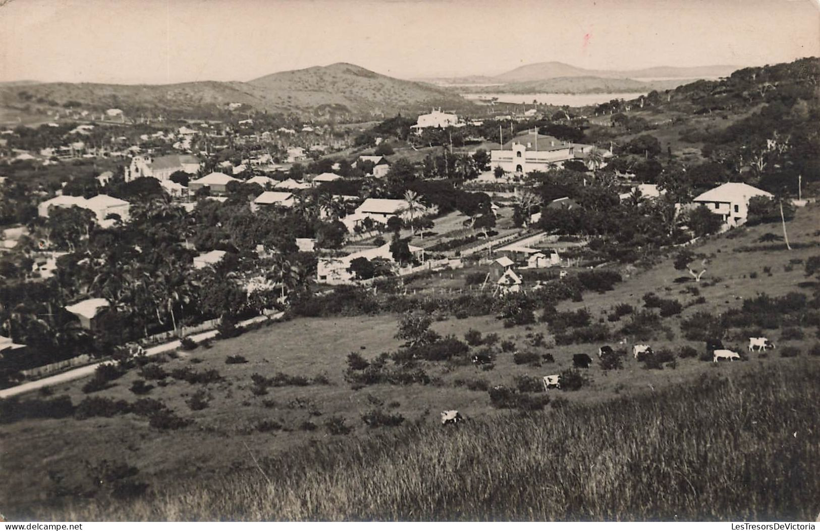 Nouvelle Calédonie -  Vue De Nouméa - Panoramique - Carte Photo - Carte Postale Ancienne - New Caledonia