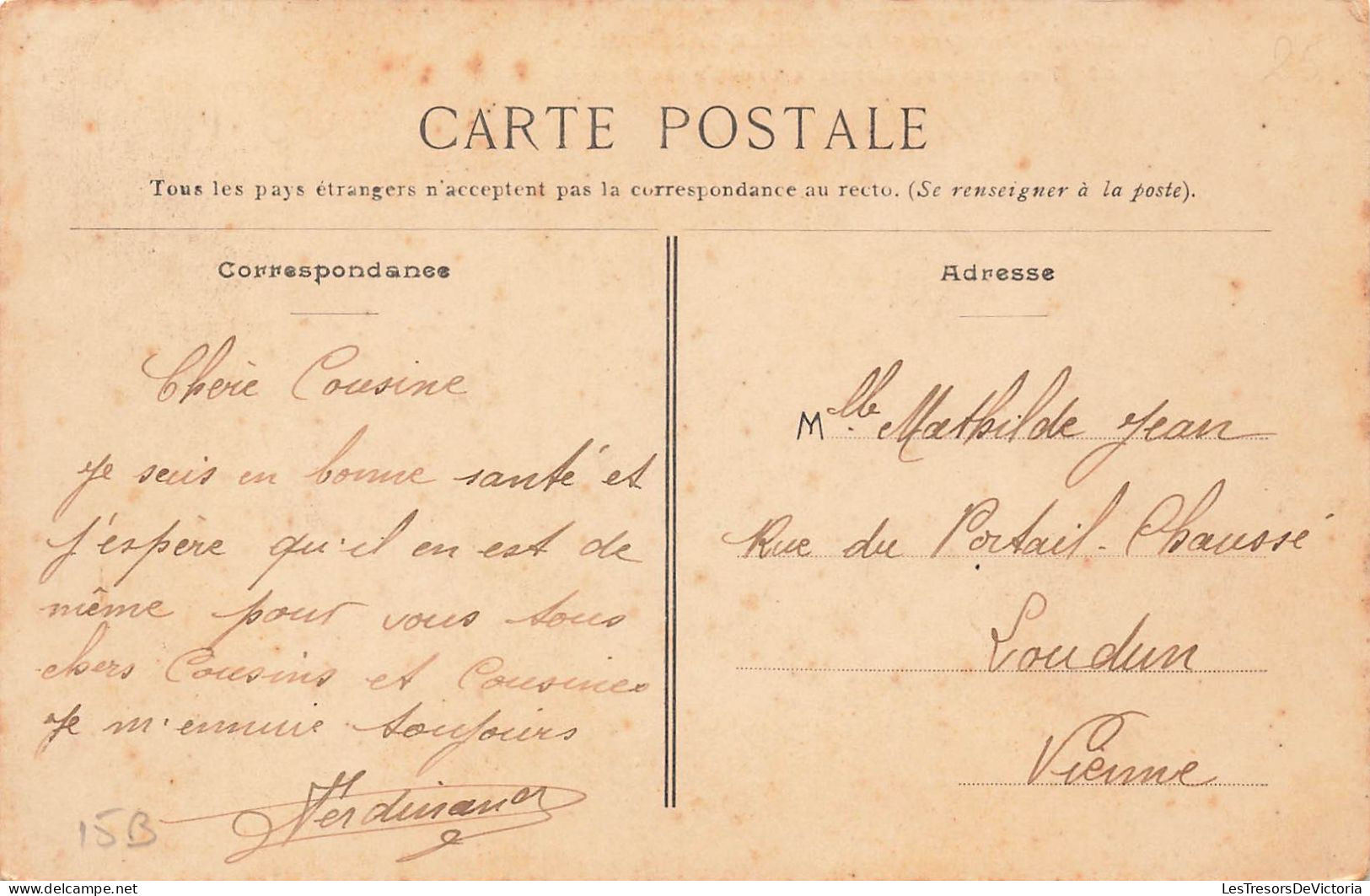 Nouvelle Calédonie - Colonies Françaises - Troupeau De Bétail à Tiaré Près Pam - Animé  - Carte Postale Ancienne - Nouvelle-Calédonie